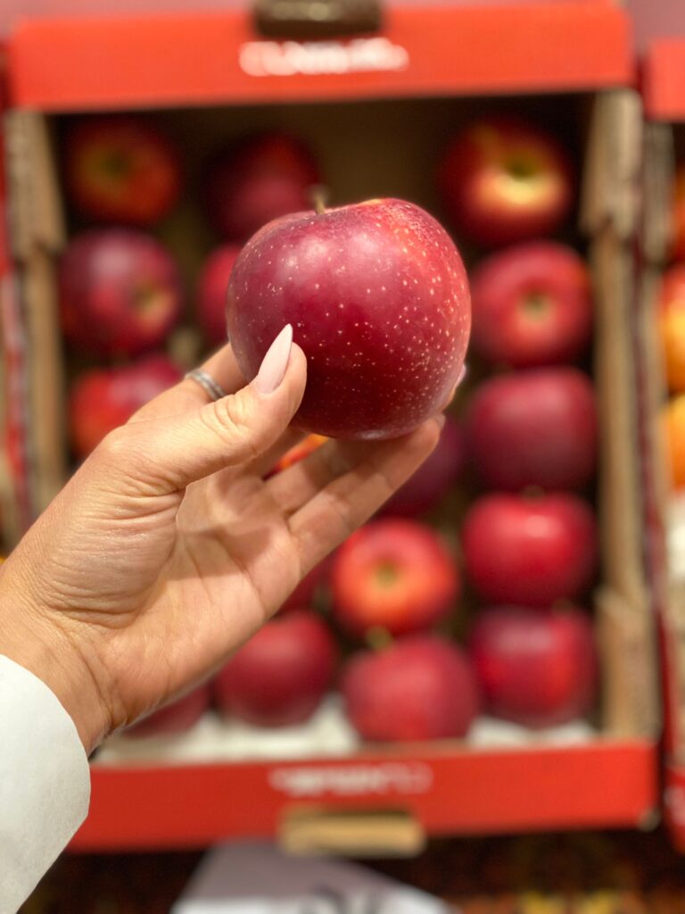 תפוחי-בראשית-שבצפון-צילום-קבוצת-משוב